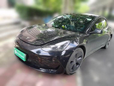 Tesla Model 3 2022 car image 