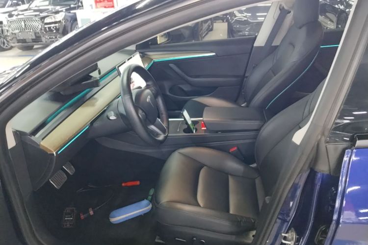 Tesla Model 3 2021 car image #15