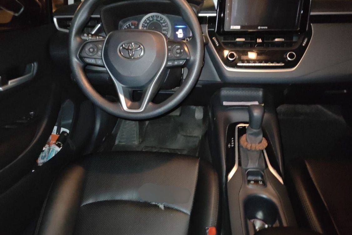 Toyota Corolla 2019 imagen de coche #22