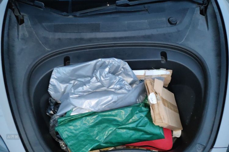 Tesla Model 3 2020 car image #22