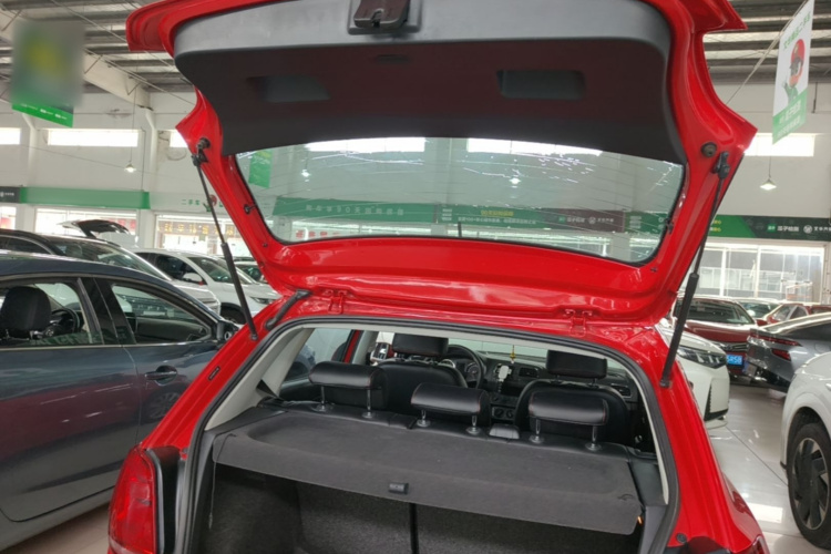 Volkswagen Polo 2015 car image #19