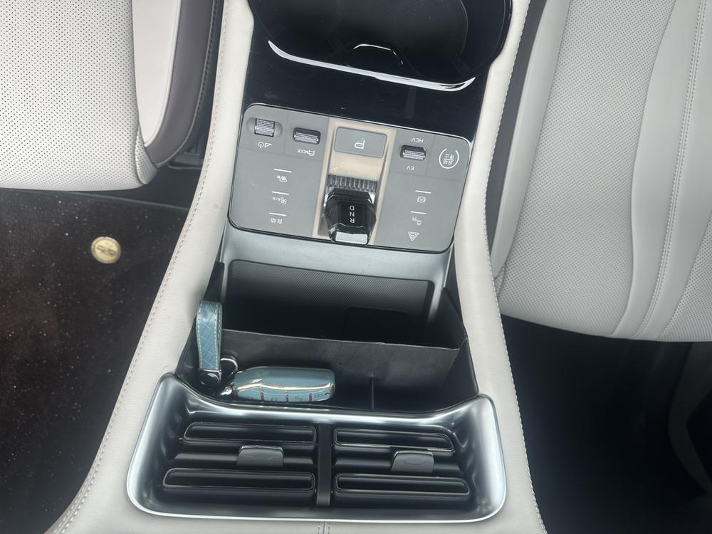 BYD Song Plus New Energy 2024 car image #12