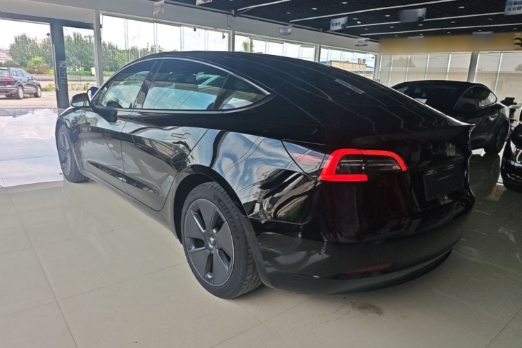 Tesla Model 3 2021 #5 Tesla Model 3 2021 car image #5