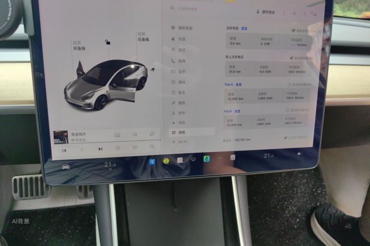 Tesla Model 3 2019 car image #15