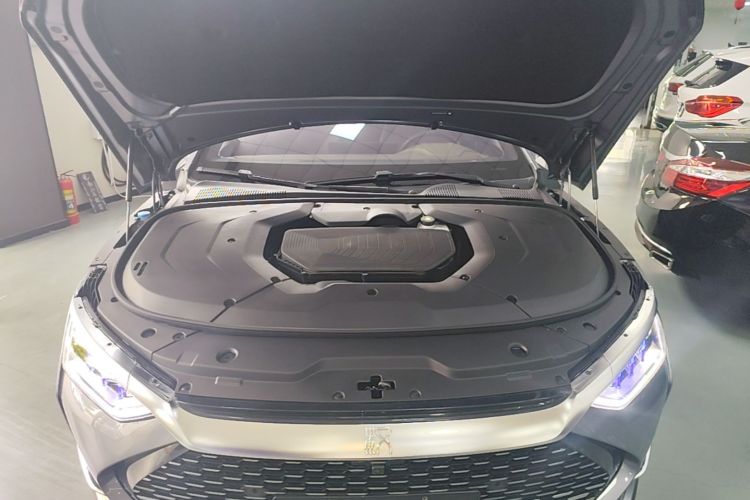 BYD Han 2021 car image #20