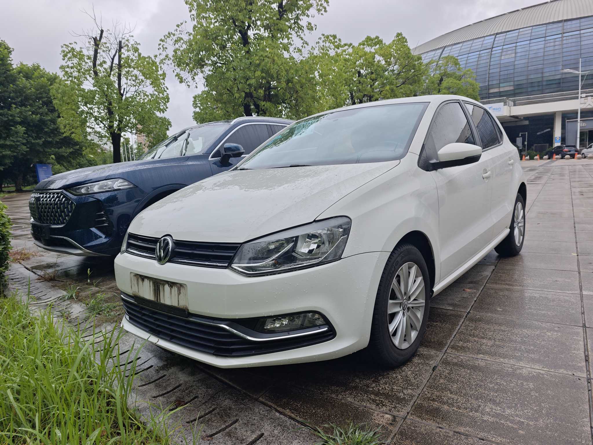 Volkswagen Polo 2016 Volkswagen Polo 2016 car image