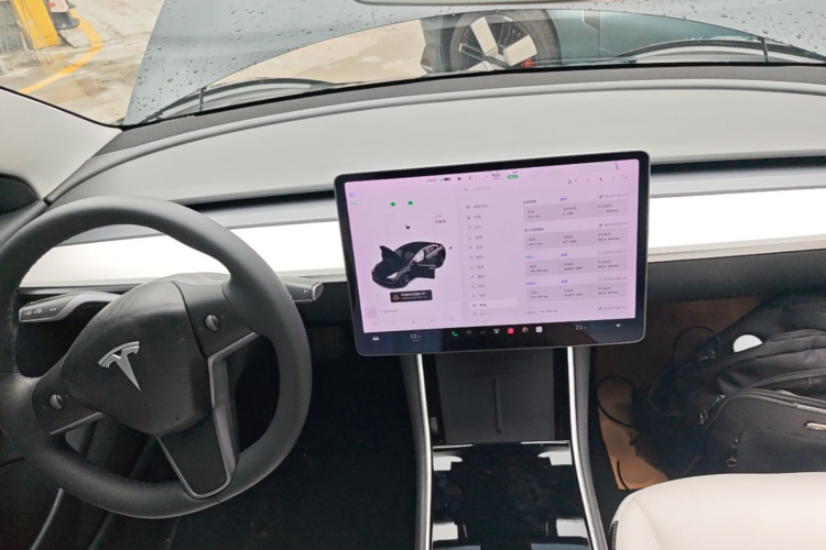 Tesla Model 3 2020 car image #10