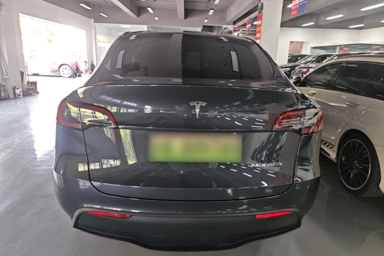 Tesla Model Y 2024 car image #6