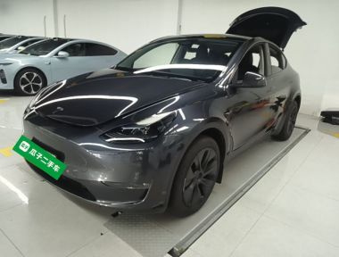 Tesla Model Y 2024 Tesla Model Y 2024 car image