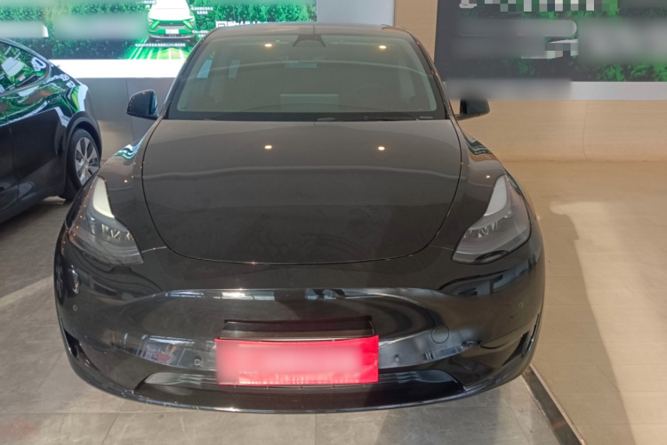 Tesla Model Y 2023 #3 Tesla Model Y 2023 car image #3