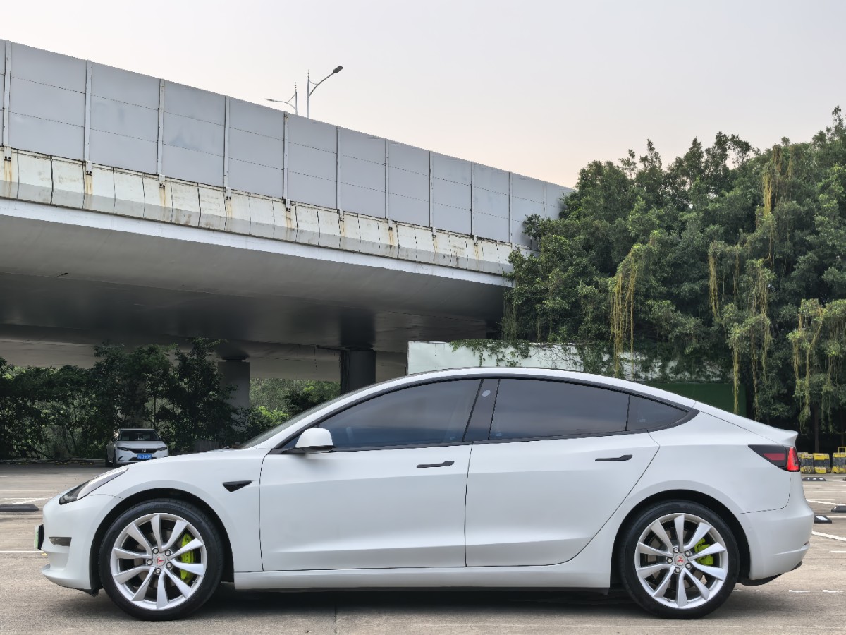 Tesla Model 3 2020 car image #4