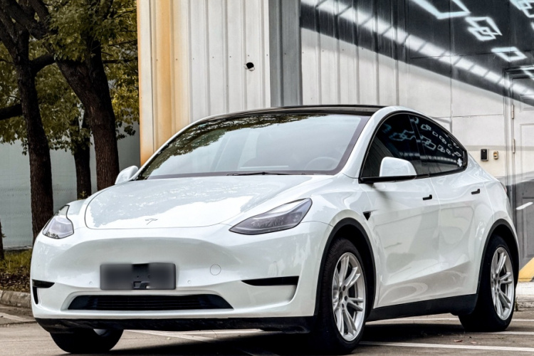 Tesla Model Y 2022 car image #2