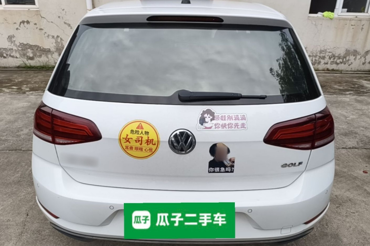 Volkswagen Golf 2019 car image #6