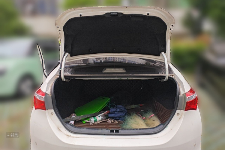 Toyota Corolla 2016 #21 Toyota Corolla 2016 car image #21