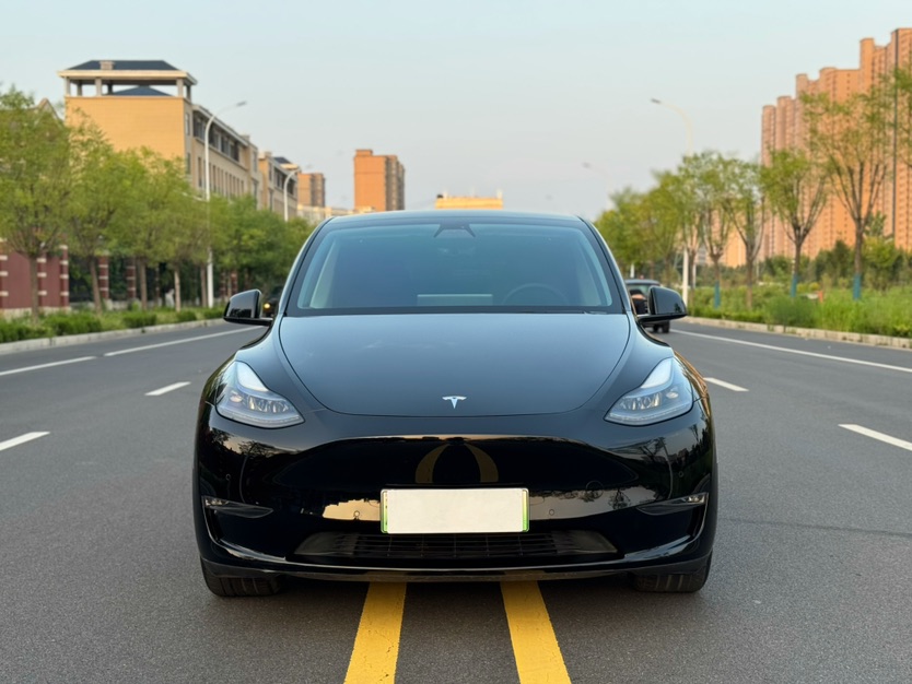 Tesla Model Y 2021 #2 Tesla Model Y 2021 car image #2
