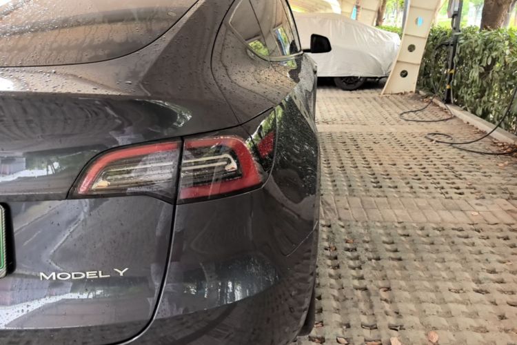 Tesla Model Y 2025 #8 Tesla Model Y 2025 car image #8