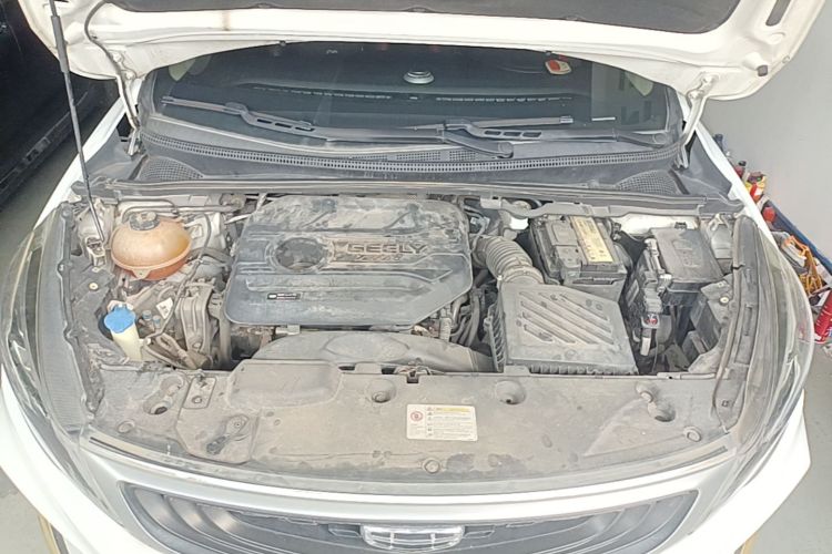 GEELY Emgrand GS 2020 car image #20