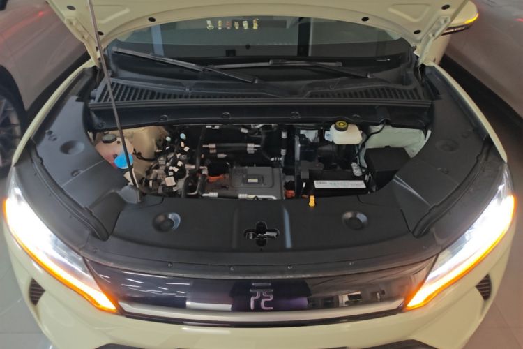 BYD YuanUP 2024 car image #22