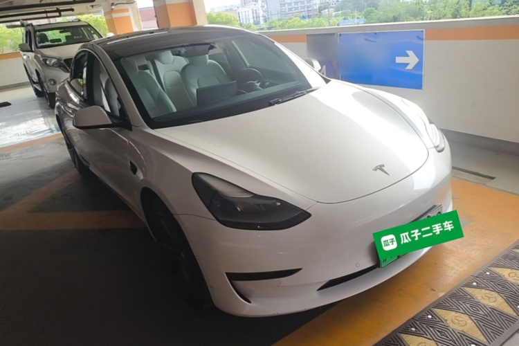 Tesla Model 3 2021 car image #4