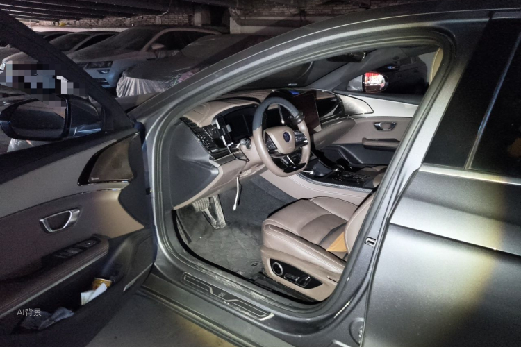 BYD Han 2020 immagine di auto #18