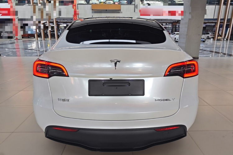 Tesla Model Y 2023 #6 Tesla Model Y 2023 car image #6