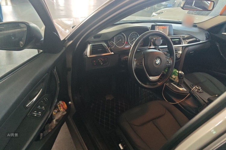 BMW 3 Series 2016 car image #18