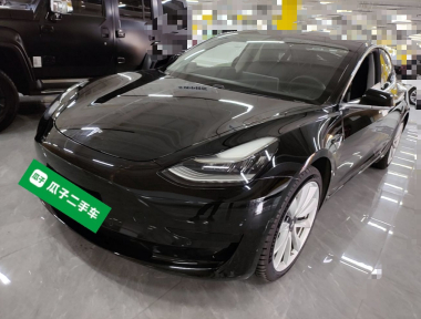 Tesla Model 3 2020 car image 