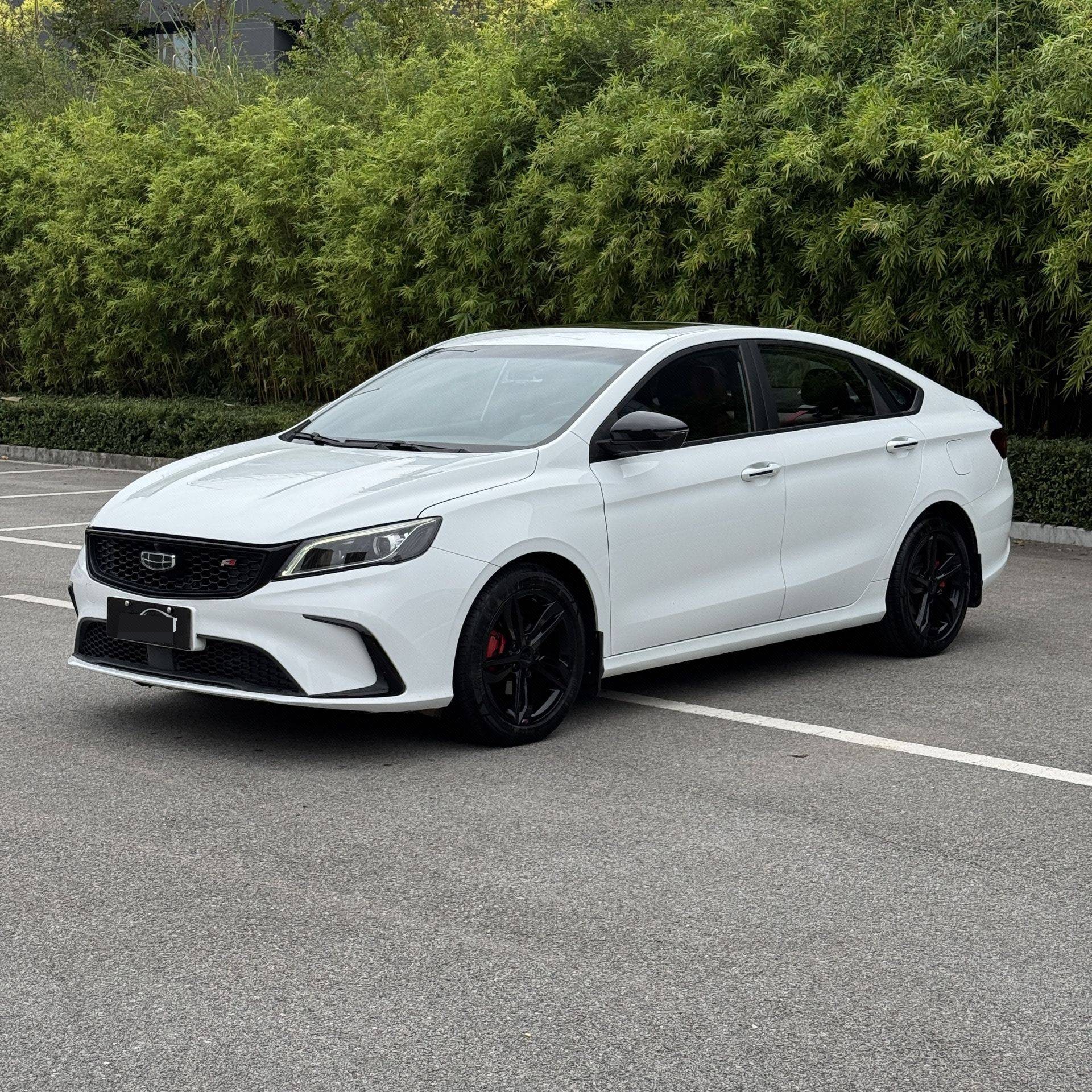 GEELY Binray 2021 GEELY Binray 2021 car image
