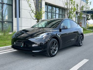 Tesla Model Y 2023 car image 