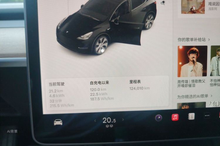 Tesla Model Y 2021 #13 Tesla Model Y 2021 car image #13