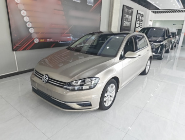 Volkswagen Golf 2019 Volkswagen Golf 2019 immagine di auto