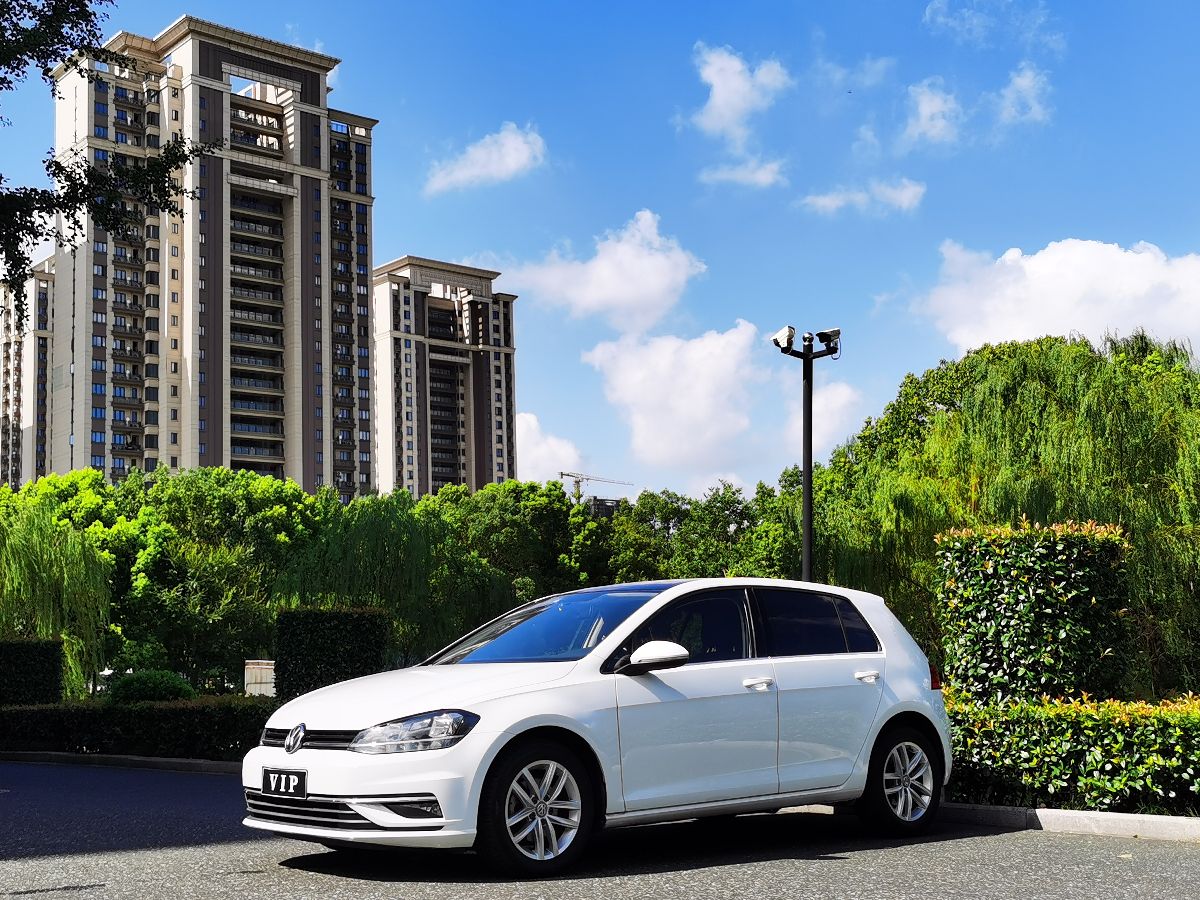 Volkswagen Golf 2019 Volkswagen Golf 2019 car image