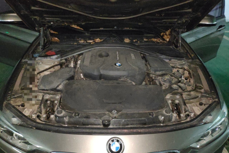 BMW 3 Series 2018 #22 BMW 3 Series 2018 car image #22