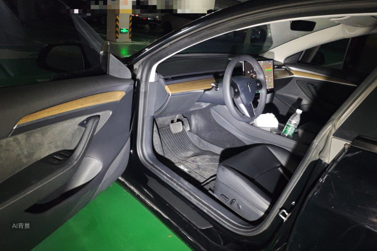 Tesla Model 3 2021 #18 Tesla Model 3 2021 car image #18