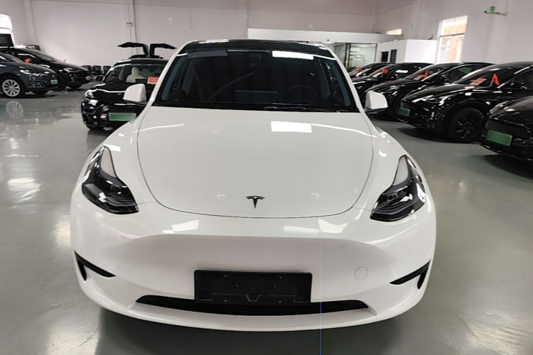 Tesla Model Y 2024 #3 Tesla Model Y 2024 car image #3