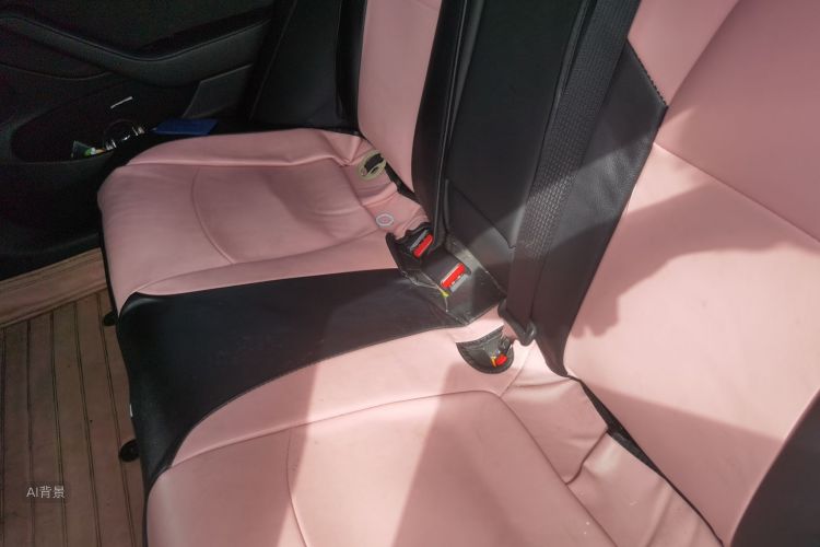 Tesla Model 3 2021 car image #19