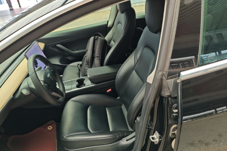 Tesla Model 3 2020 car image #19