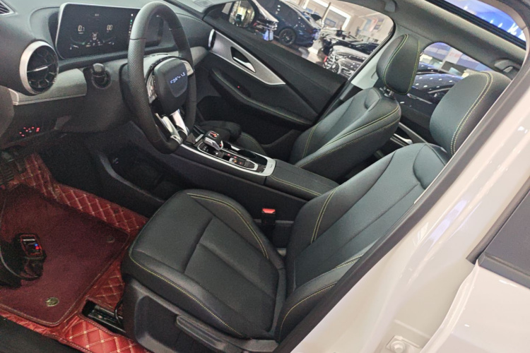 Forthing T5 EVO 2024 immagine di auto #19