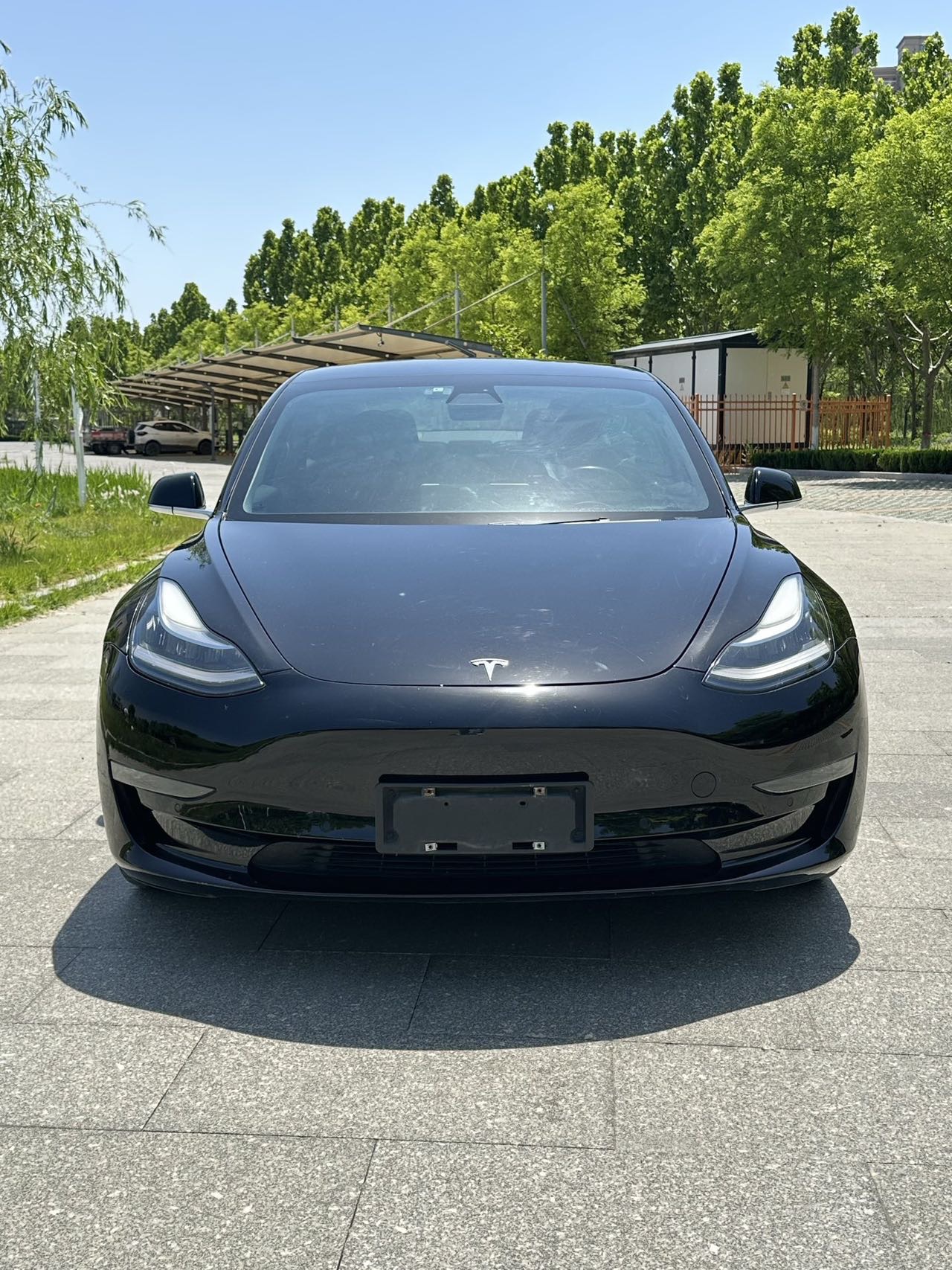 Tesla Model 3 2020 #2 Tesla Model 3 2020 car image #2