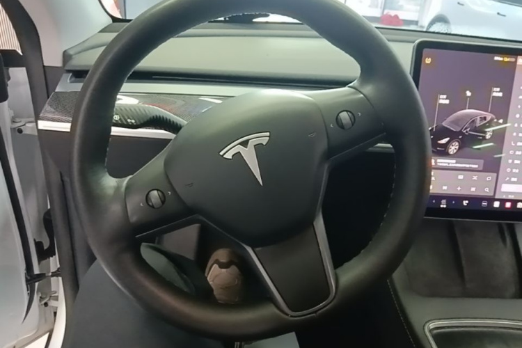 Tesla Model Y 2021 #11 Tesla Model Y 2021 car image #11