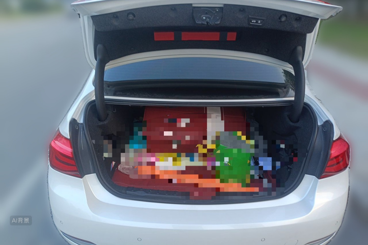 BMW 3 Series 2017 car image #21