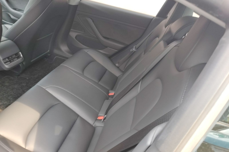 Tesla Model 3 2020 #13 Tesla Model 3 2020 car image #13