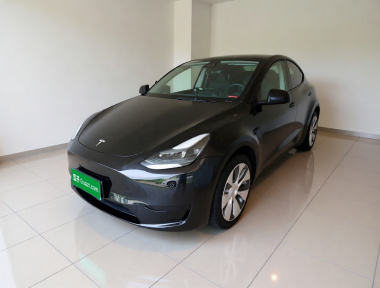 Tesla Model Y 2022 car image 