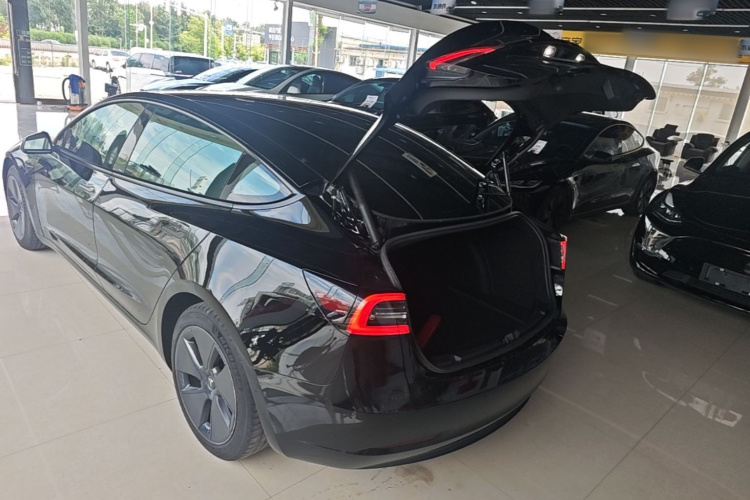 Tesla Model 3 2021 #19 Tesla Model 3 2021 car image #19