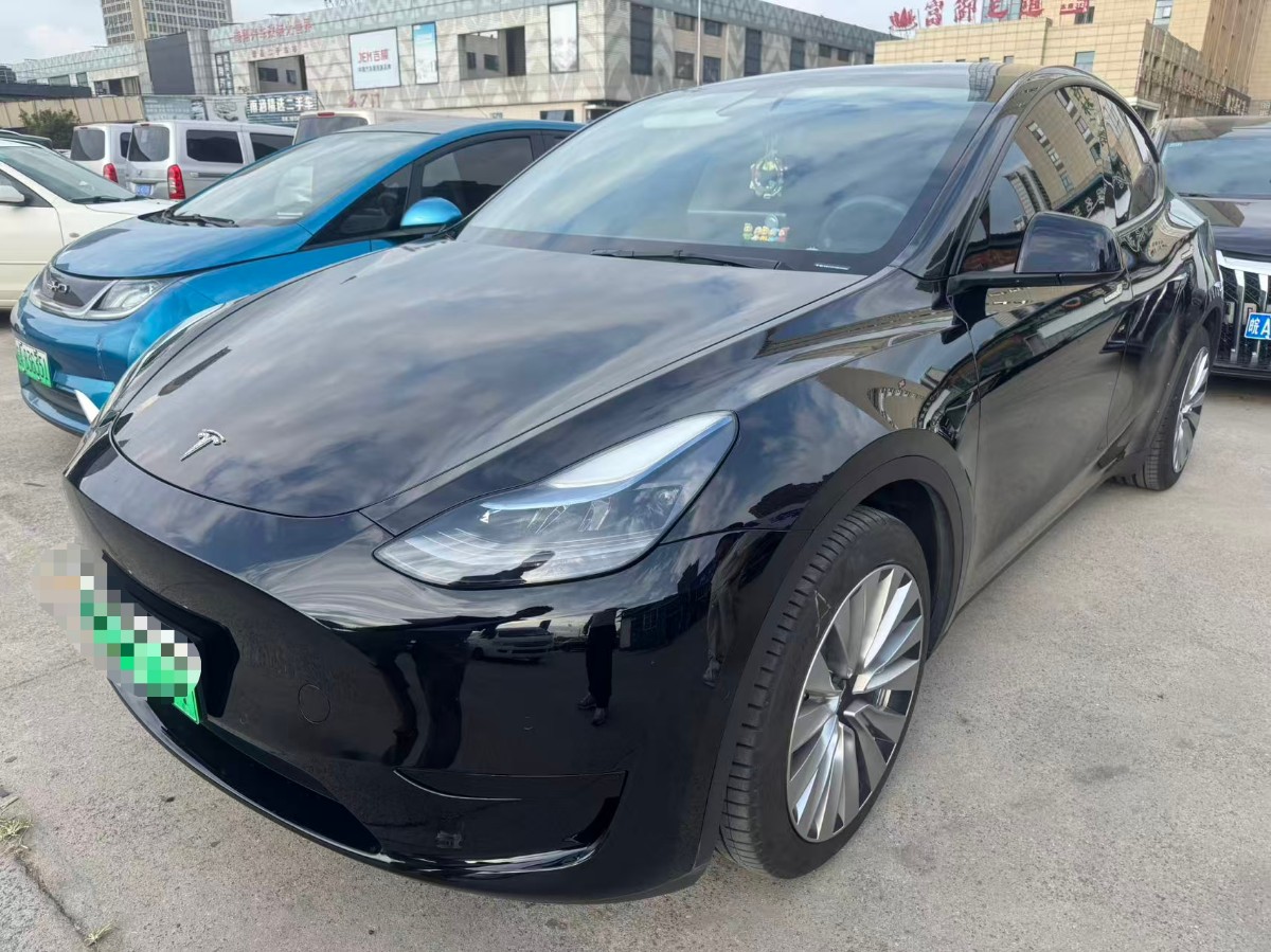 Tesla Model Y 2022 Tesla Model Y 2022 car image