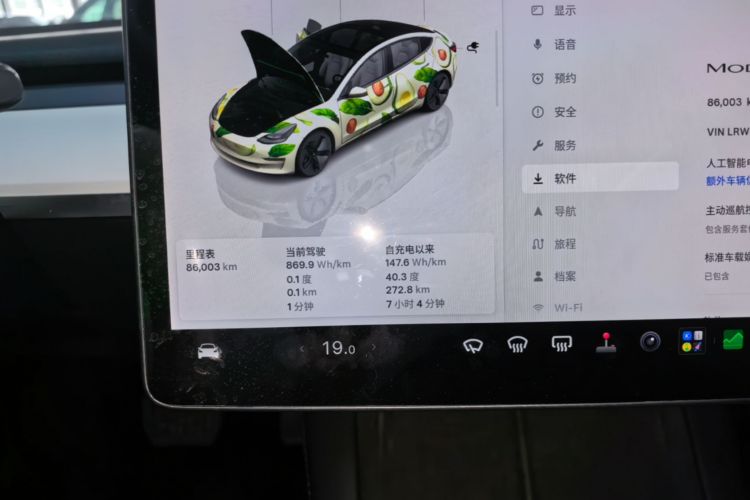 Tesla Model 3 2022 immagine di auto #12