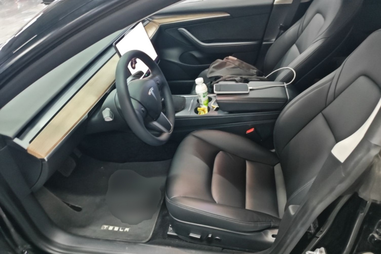 Tesla Model 3 2021 car image #15