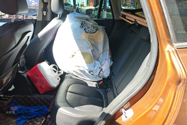 BMW X1 2016 صورة سيارة #19