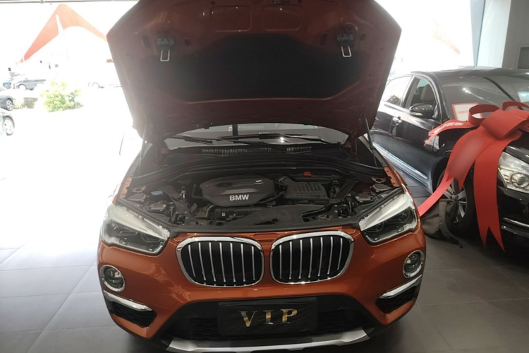 BMW X1 2017 #20 BMW X1 2017 car image #20