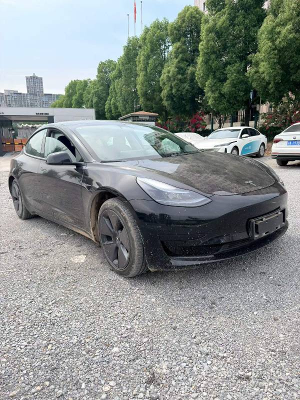 Tesla Model 3 2023 #2 Tesla Model 3 2023 car image #2